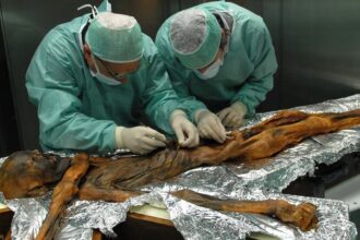 A 35 años del hallazgo de Ötzi, “el hombre de hielo”