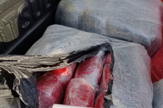 Decomisan 1,300 libras de supuesta marihuana en Honduras y detienen a tres hombres
