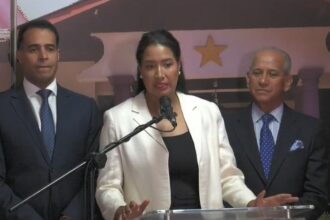 PLD pide investigar actuaciones