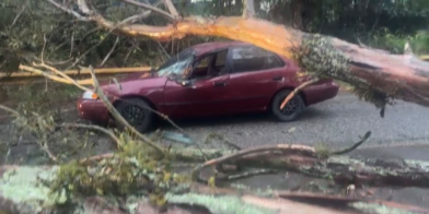 Árbol cae sobre carro en Jarabacoa y conductor resulta herido