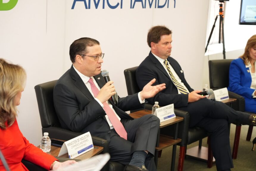 El ministro de Industria, Comercio y Mipymes (MICM), Yayo Sanz Lovatón ante Organización de los Estados Americanos (OEA).