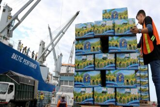 Las exportaciones de Ecuador crecen un 9,3 % entre enero y julio de 2026