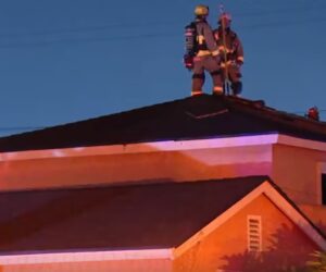 Tres muertos, incluido un niño, tras tiroteo e incendio en una vivienda de California