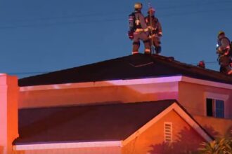 Tres muertos, incluido un niño, tras tiroteo e incendio en una vivienda de California