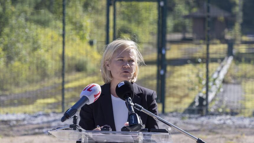 Finlandia terminó la construcción de 200 kilómetros de valla en su frontera con Rusia