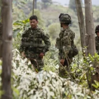 Juez ordena al Gobierno de Colombia suspender bombardeos si hay menores en zonas de grupos armados