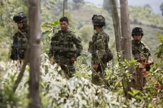 Juez ordena al Gobierno de Colombia suspender bombardeos si hay menores en zonas de grupos armados