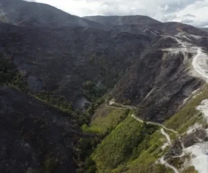 Incendio arrasa 3.000 hectáreas de bosque, redes de agua y cultivos en norte de Colombia