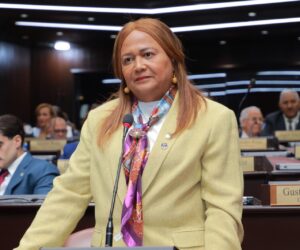 Bloque de diputados PLD interpela a director del SNS por muertes neonatales en Maternidad La Altagracia