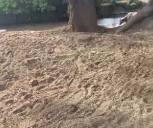Parceleros lamentan paralización de trabajos de dragado y limpieza del río Masacre