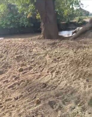 Parceleros lamentan paralización de trabajos de dragado y limpieza del río Masacre