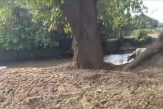 Parceleros lamentan paralización de trabajos de dragado y limpieza del río Masacre