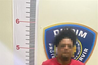 Policía Nacional apresa a un hombre con presuntas sustancias narcóticas en La Vega