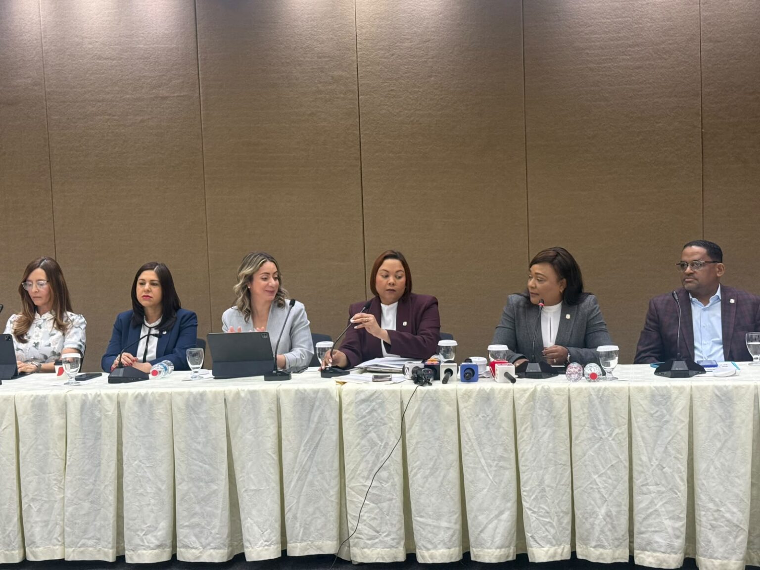 Congreso y Ministerio de la Mujer buscan unificar proyectos para crear la “Ley Mirabal” contra violencia hacia las mujeres