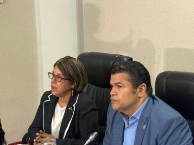 Camara de Diputados y Suprema Corte analizan cambios a ley de justicia digital