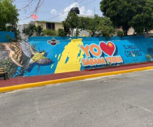 Inauguran boulevard y parador fotográfico en Sabana Yegua