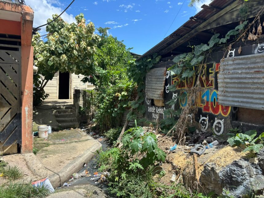Moradores de Los Girasoles 2 temen nuevas inundaciones ante lluvias