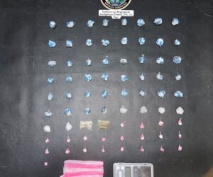 Policía Nacional ocupa presuntas sustancias ilícitas durante operativo en La Vega