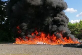 Más de 2,300 kilos de cocaína y marihuana son destruidos por el Inacif