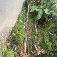Honduras exige respuesta! Socavón amenaza la seguridad vial y Obras Públicas guarda silencio