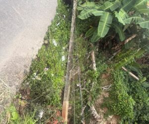 Honduras exige respuesta! Socavón amenaza la seguridad vial y Obras Públicas guarda silencio