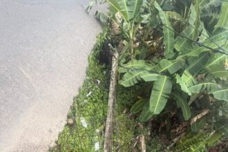 Honduras exige respuesta! Socavón amenaza la seguridad vial y Obras Públicas guarda silencio