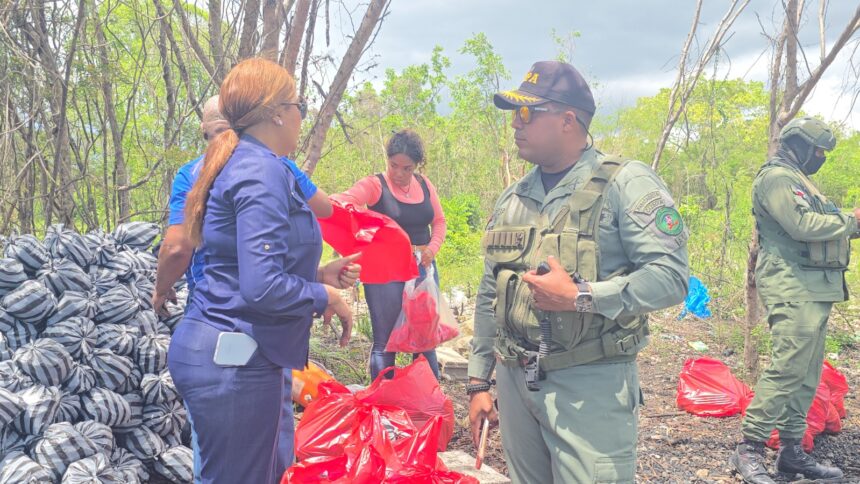 ¡Golpe a la tala indiscriminada! Medio Ambiente incauta más de 400 fundas de carbón tras denuncia de parceleros de El Gato–La Noria
