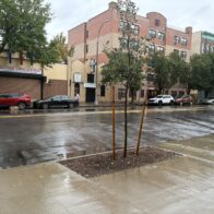 Lluvias y frío dejan calles despejadas en el Bronx ante tormenta anunciada para este fin de semana