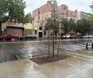 Lluvias y frío dejan calles despejadas en el Bronx ante tormenta anunciada para este fin de semana