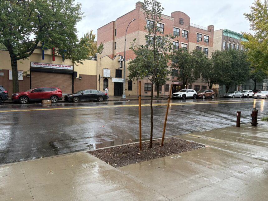 Lluvias y frío dejan calles despejadas en el Bronx ante tormenta anunciada para este fin de semana