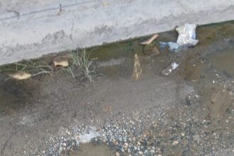 Varias calles de La Ureña quedan fuera del proceso de asfaltado