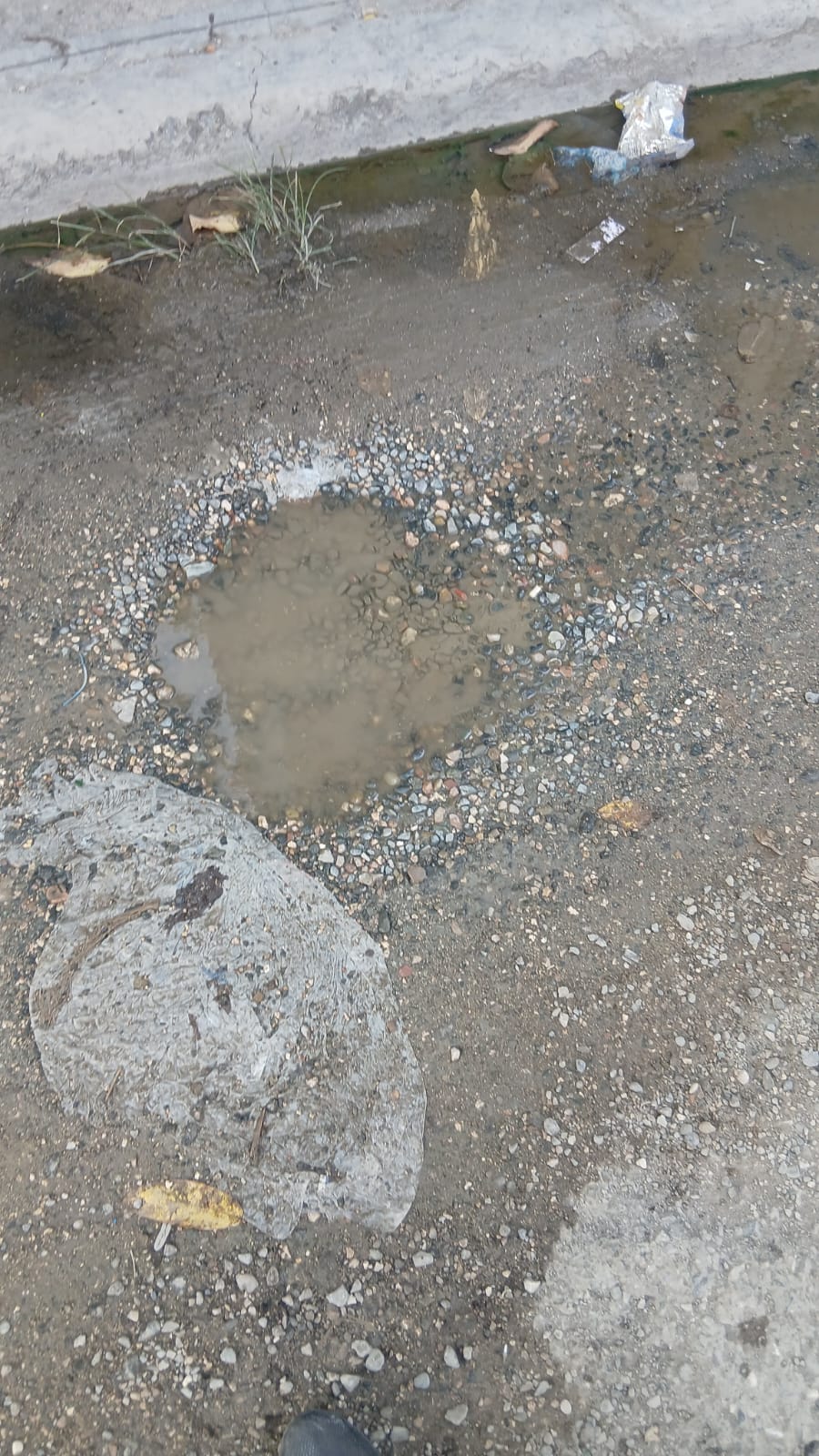 Avanzan trabajos de asfaltado en sectores de La Ureña mientras varias vías quedan excluidas