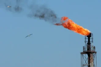 Argentina demandará a la petrolera israelí Navitas por operar en las islas Malvinas