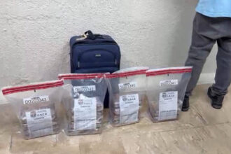 Arrestan canadiense con 14 paquetes de presunta cocaína en aeropuerto de Punta Cana