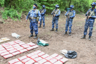 El Ejército de Nicaragua decomisó 1.381 kilos de drogas en el último año