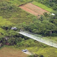 Colombia autoriza plan piloto de fumigación aérea para combatir cultivos ilícitos