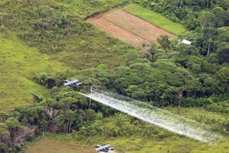 Colombia autoriza plan piloto de fumigación aérea para combatir cultivos ilícitos