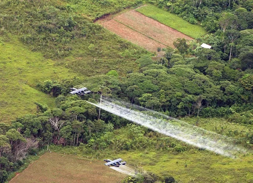 Colombia autoriza plan piloto de fumigación aérea para combatir cultivos ilícitos