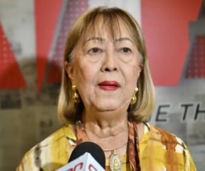 Rosa Ng Báez advierte sobre discursos xenófobos en medio de críticas a comercios chinos