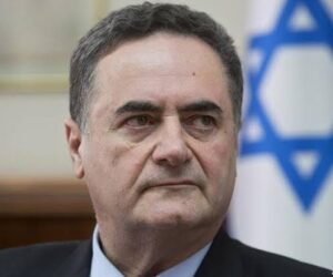 Ministro de Defensa israelí tilda de «intento de atentado yihadista» el suceso de FlyDubai