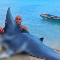 Detienen a hombre por captura ilegal de una mantarraya en Las Terrenas