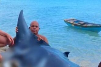 Detienen a hombre por captura ilegal de una mantarraya en Las Terrenas