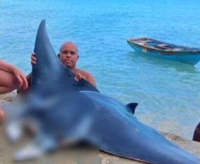 Detienen a hombre por captura ilegal de una mantarraya en Las Terrenas