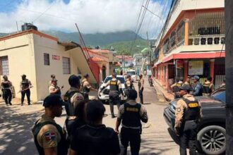 DNCD incauta más de 934 mil gramos de drogas durante agosto
