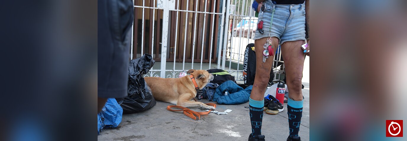 Las mascotas de Skid Row, la otra cara de la crisis de personas sin hogar en Los Ángeles