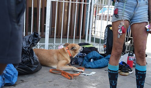 Las mascotas de Skid Row, la otra cara de la crisis de personas sin hogar en Los Ángeles