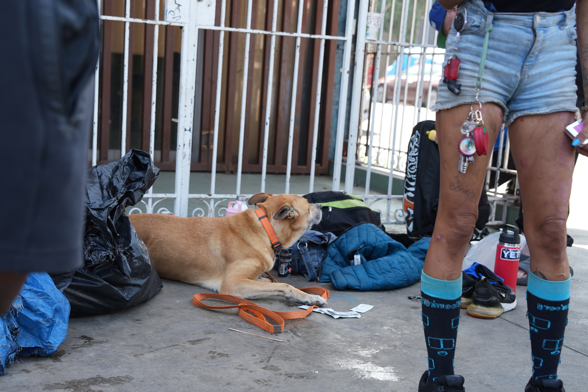 Las mascotas de Skid Row, la otra cara de la crisis de personas sin hogar en Los Ángeles