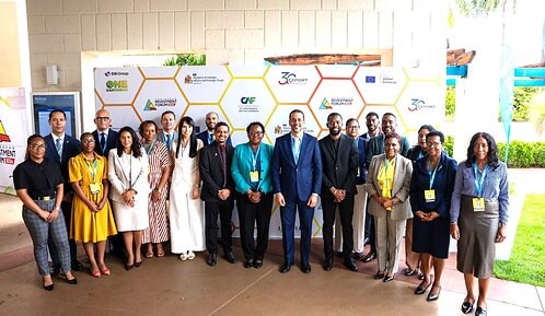 Agencias miembros del Caribbean Export