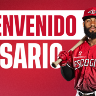 Leones reciben a Amed Rosario en canje con los Tigres