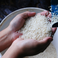 Rivero asegura Gobierno adoptará medidas para proteger productores de arroz tras eliminar protección